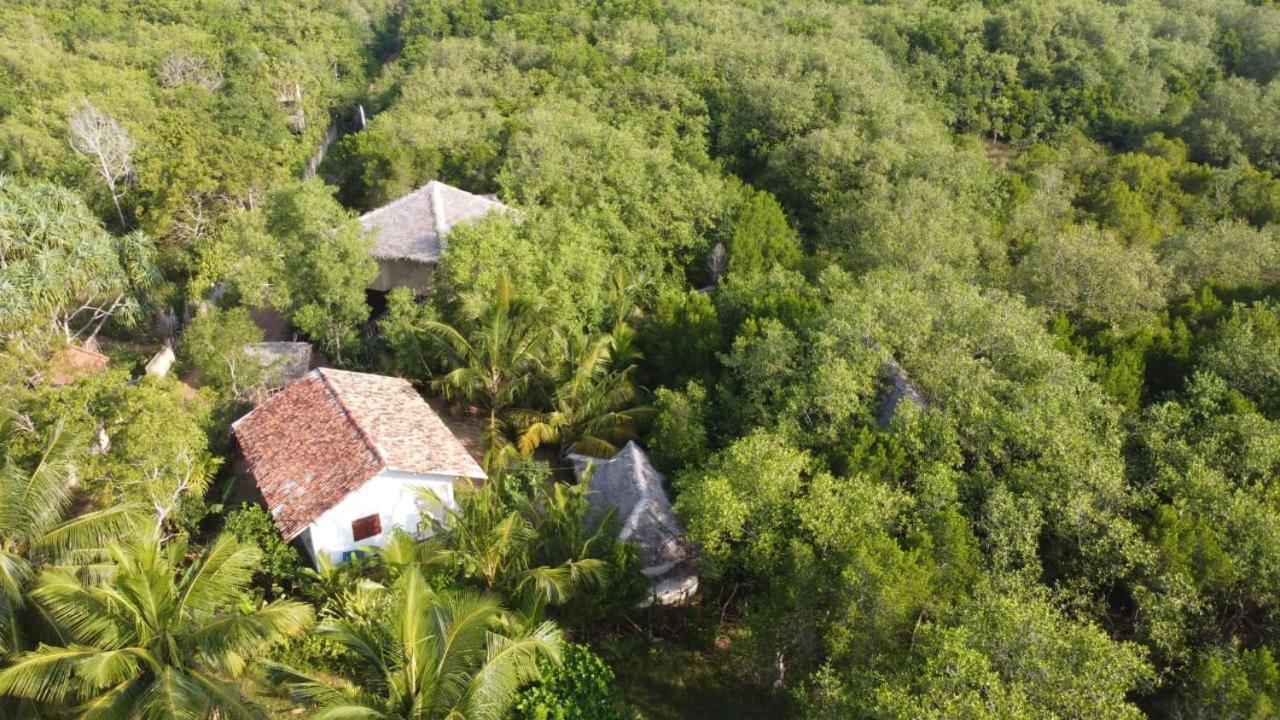Mermaid Cabana And Tree Houses Tangalle Oda fotoğraf