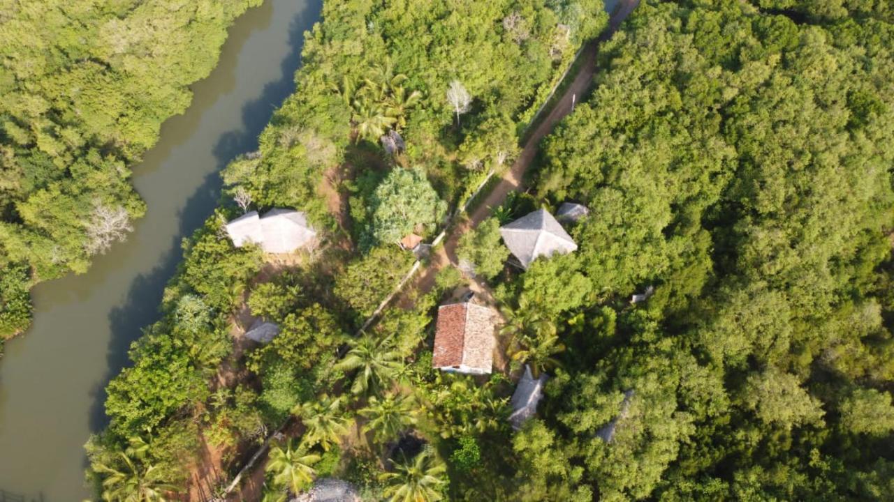 Mermaid Cabana And Tree Houses Tangalle Oda fotoğraf
