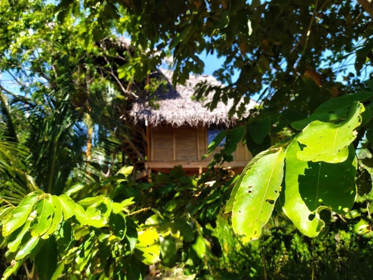 Mermaid Cabana And Tree Houses Tangalle Oda fotoğraf