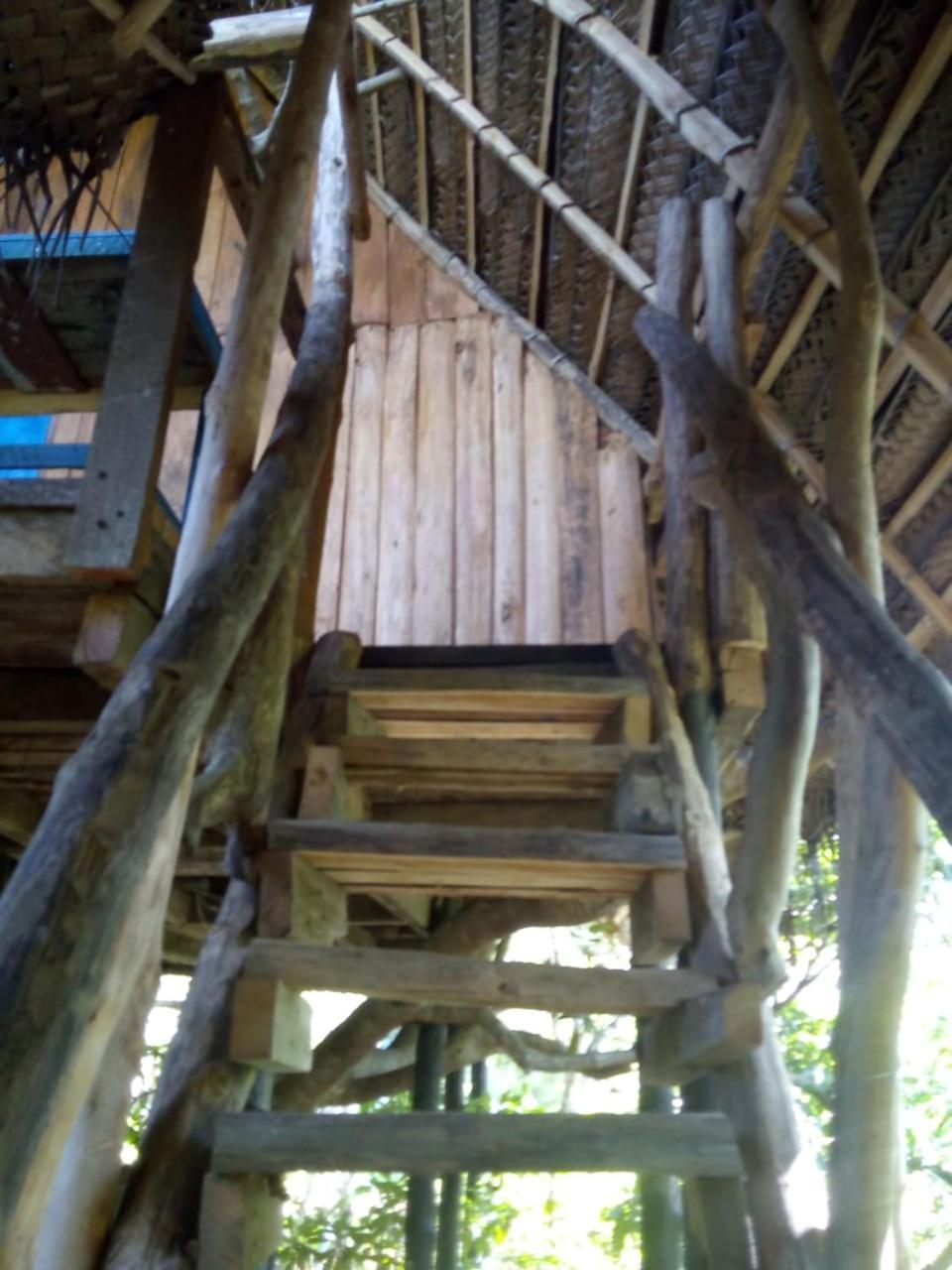 Mermaid Cabana And Tree Houses Tangalle Oda fotoğraf