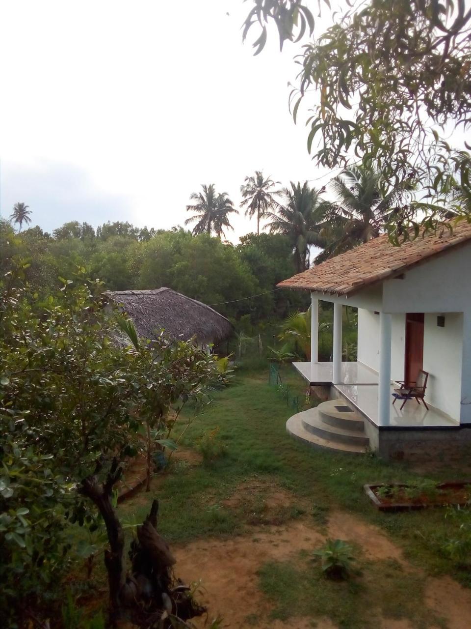 Mermaid Cabana And Tree Houses Tangalle Dış mekan fotoğraf