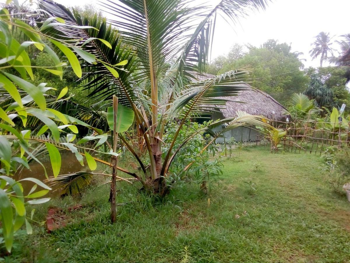 Mermaid Cabana And Tree Houses Tangalle Dış mekan fotoğraf