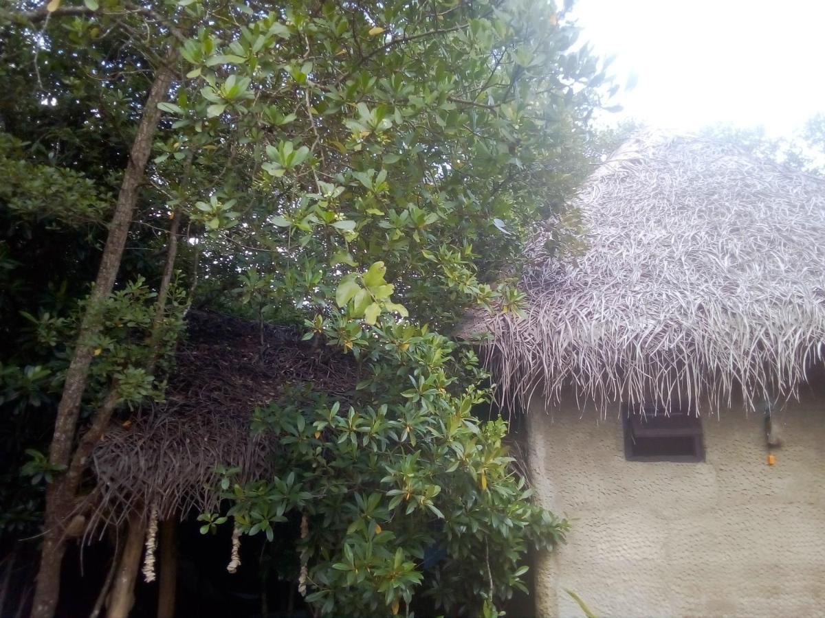 Mermaid Cabana And Tree Houses Tangalle Dış mekan fotoğraf