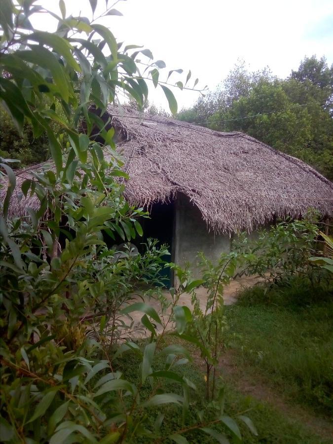 Mermaid Cabana And Tree Houses Tangalle Dış mekan fotoğraf