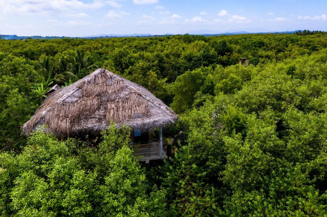Mermaid Cabana And Tree Houses Tangalle Dış mekan fotoğraf